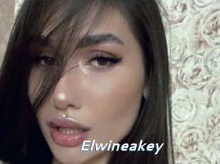 Elwineakey