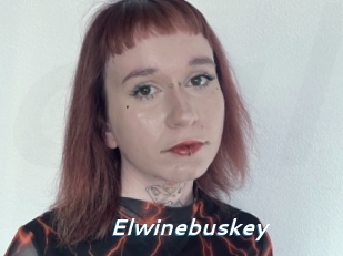 Elwinebuskey