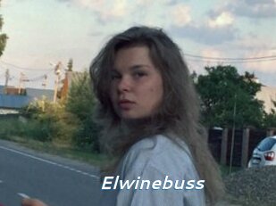 Elwinebuss