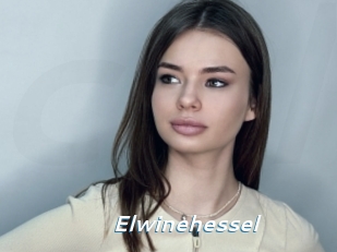 Elwinehessel