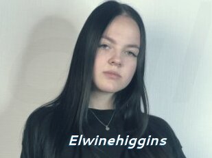 Elwinehiggins
