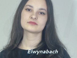 Elwynabach