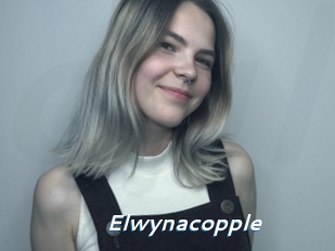 Elwynacopple