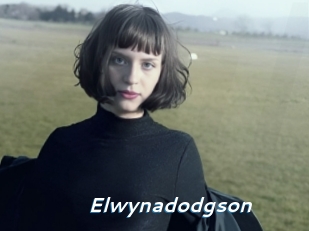Elwynadodgson