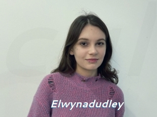 Elwynadudley