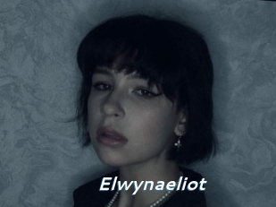 Elwynaeliot