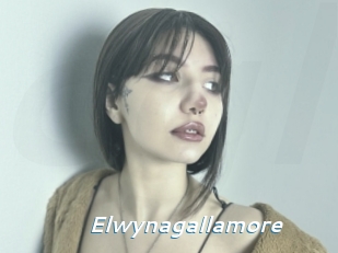 Elwynagallamore