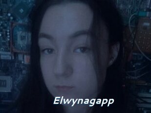 Elwynagapp