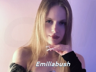 Emiliabush