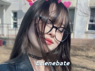 Erlenebate