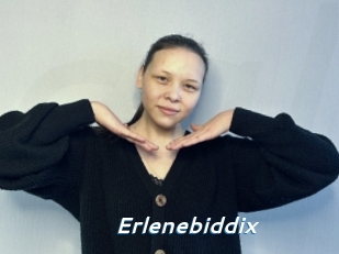 Erlenebiddix