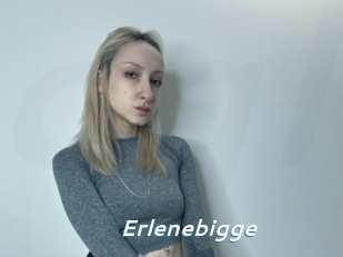 Erlenebigge