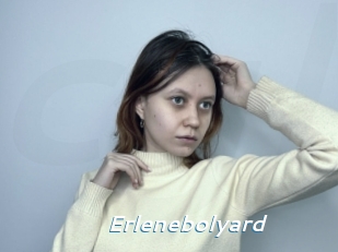 Erlenebolyard
