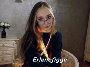Erlenefigge