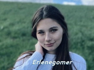Erlenegomer