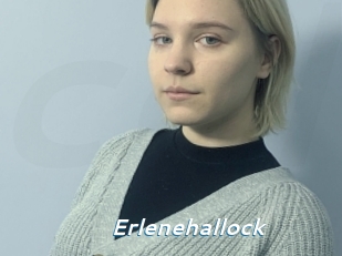 Erlenehallock