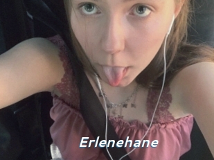 Erlenehane