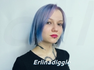 Erlinadiggle