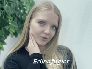 Erlinafugler
