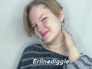 Erlinediggle