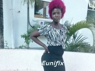 Eunifix