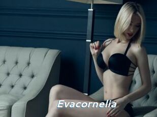 Evacornelia