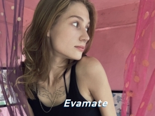 Evamate