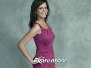 Evaredrose