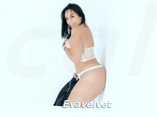 Evavelvet