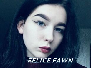 FELICE_FAWN