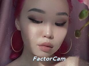 FactorCam