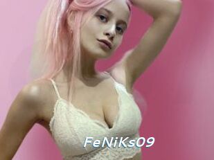 FeNiKs09