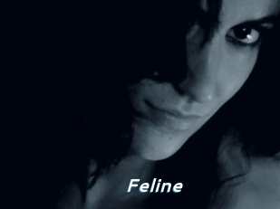 Feline