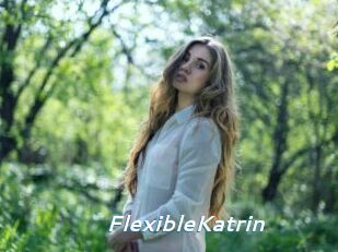 FlexibleKatrin