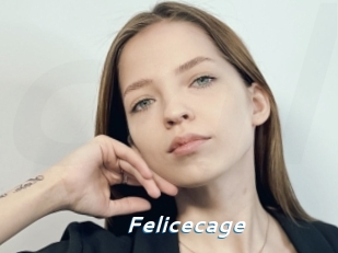 Felicecage