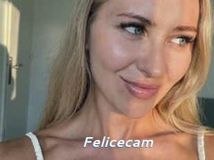 Felicecam