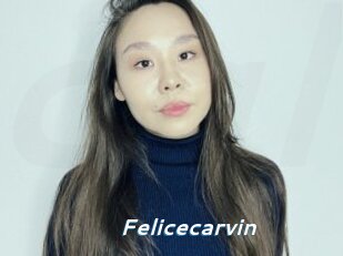 Felicecarvin
