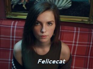 Felicecat