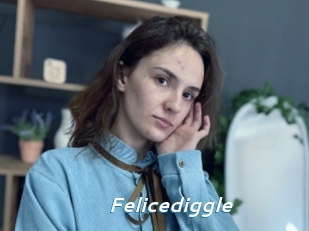 Felicediggle