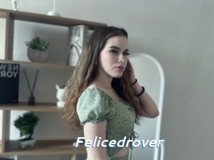 Felicedrover