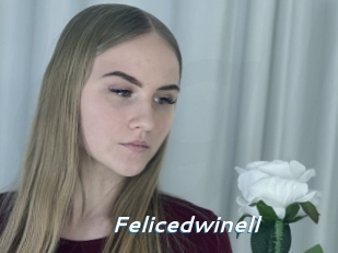Felicedwinell