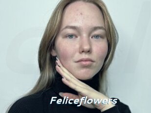 Feliceflowers