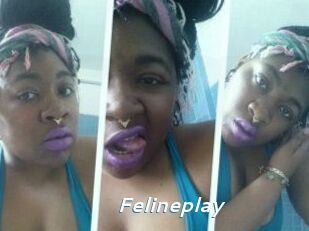 Felineplay