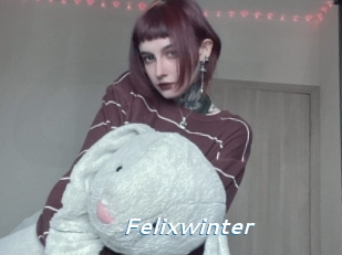 Felixwinter