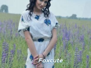 Foxcute
