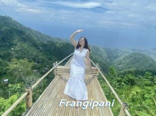 Frangipani
