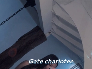 Gate_charlotee