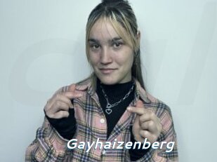 Gayhaizenberg