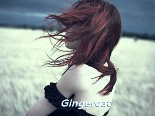 Gingercat
