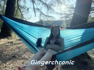 Gingerchronic